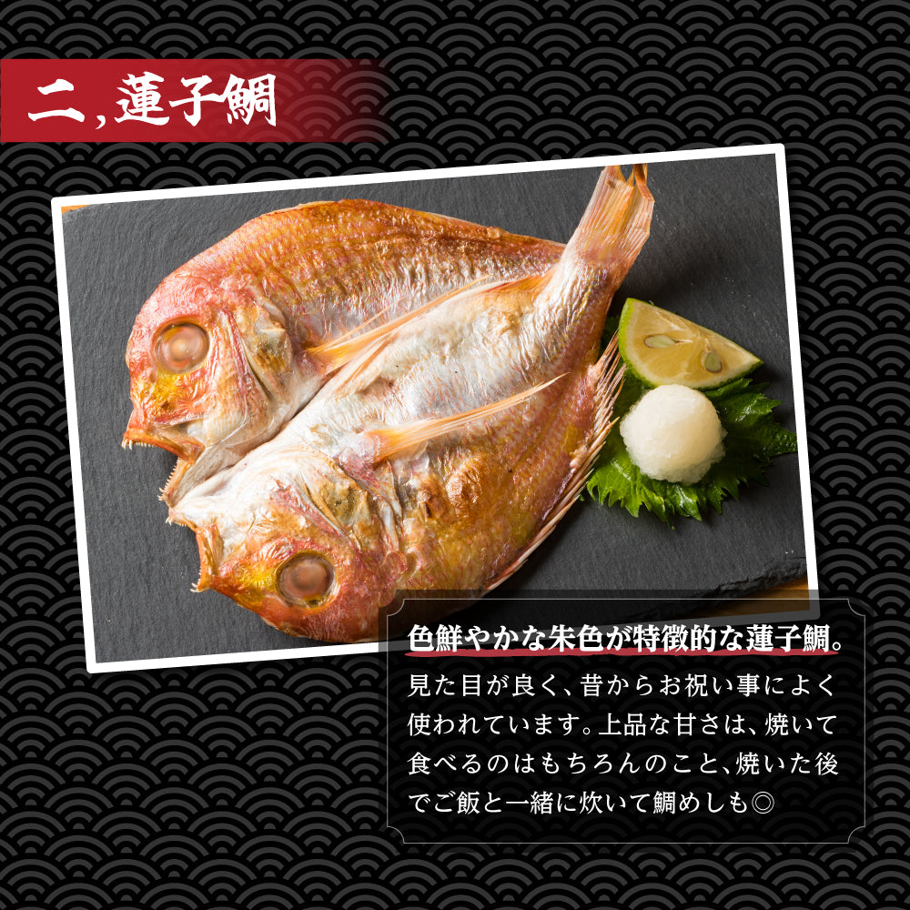 【九州産】鮮魚一夜干しセット