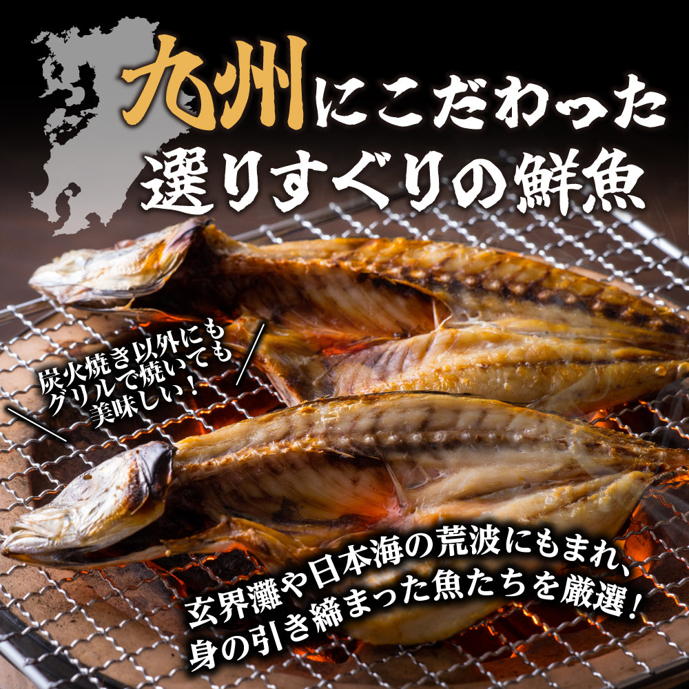 【九州産】鮮魚一夜干しセット