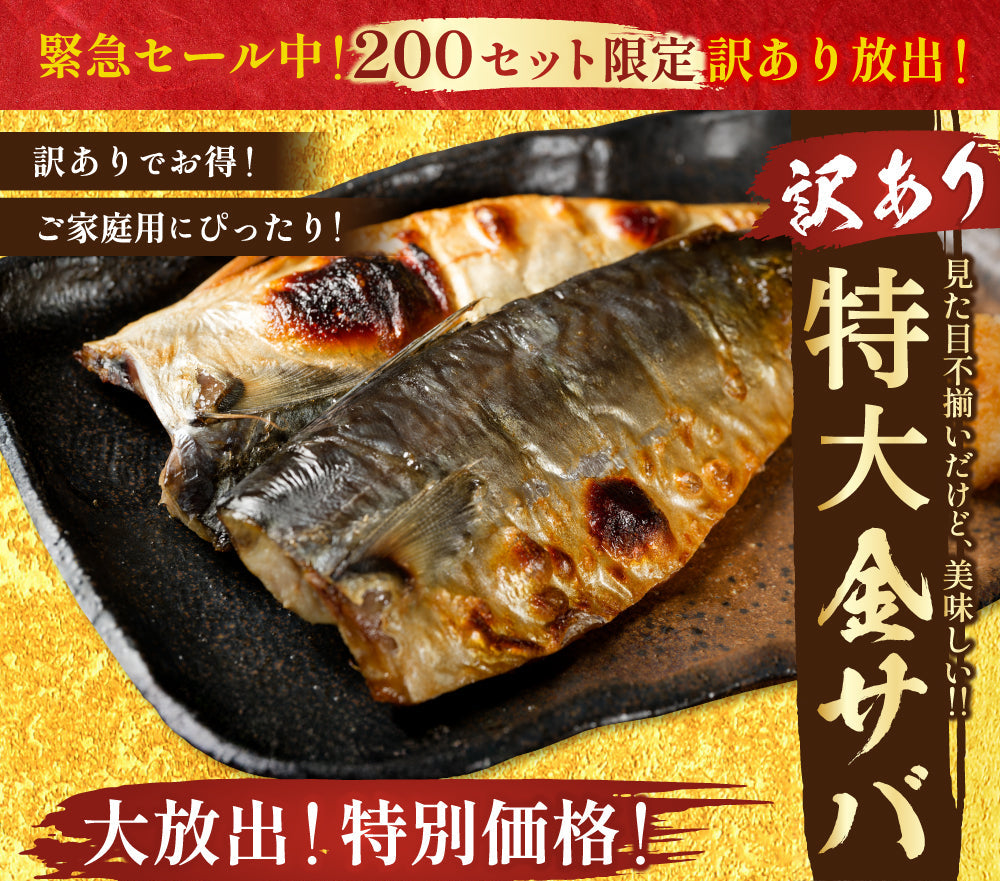 【訳あり品】特大金サバ