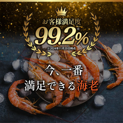 天然赤海老　L2