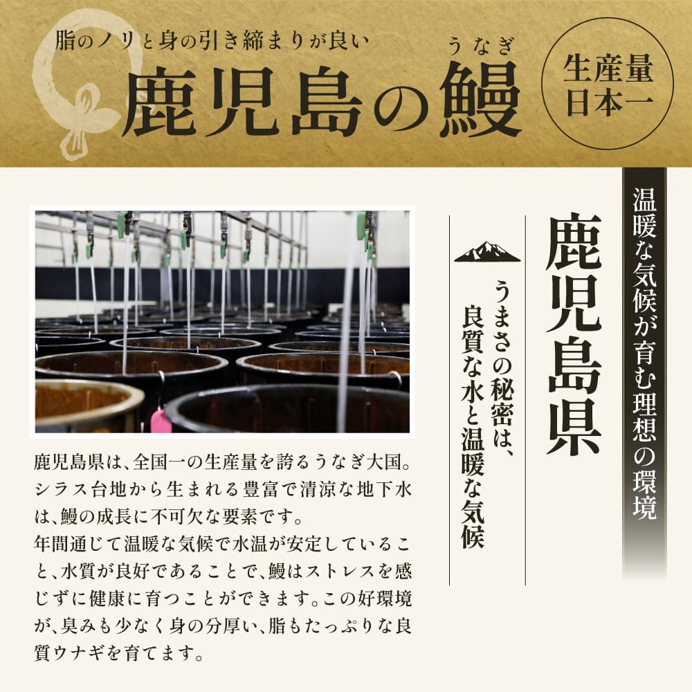【鹿児島県産】おもてなしうなぎ白焼き
