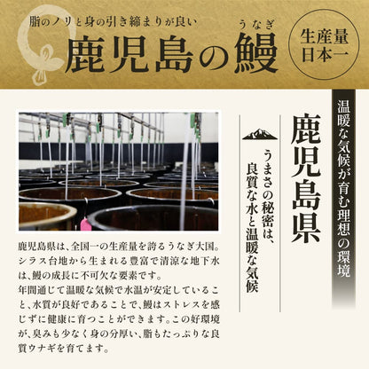 【鹿児島県産】おもてなしうなぎ白焼き