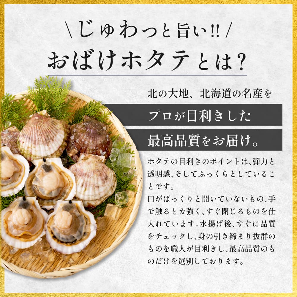 【北海道産】おばけホタテ片貝