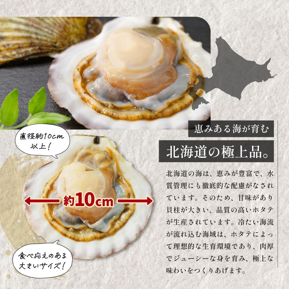 【北海道産】おばけホタテ片貝