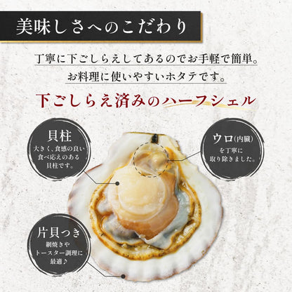 【北海道産】おばけホタテ片貝