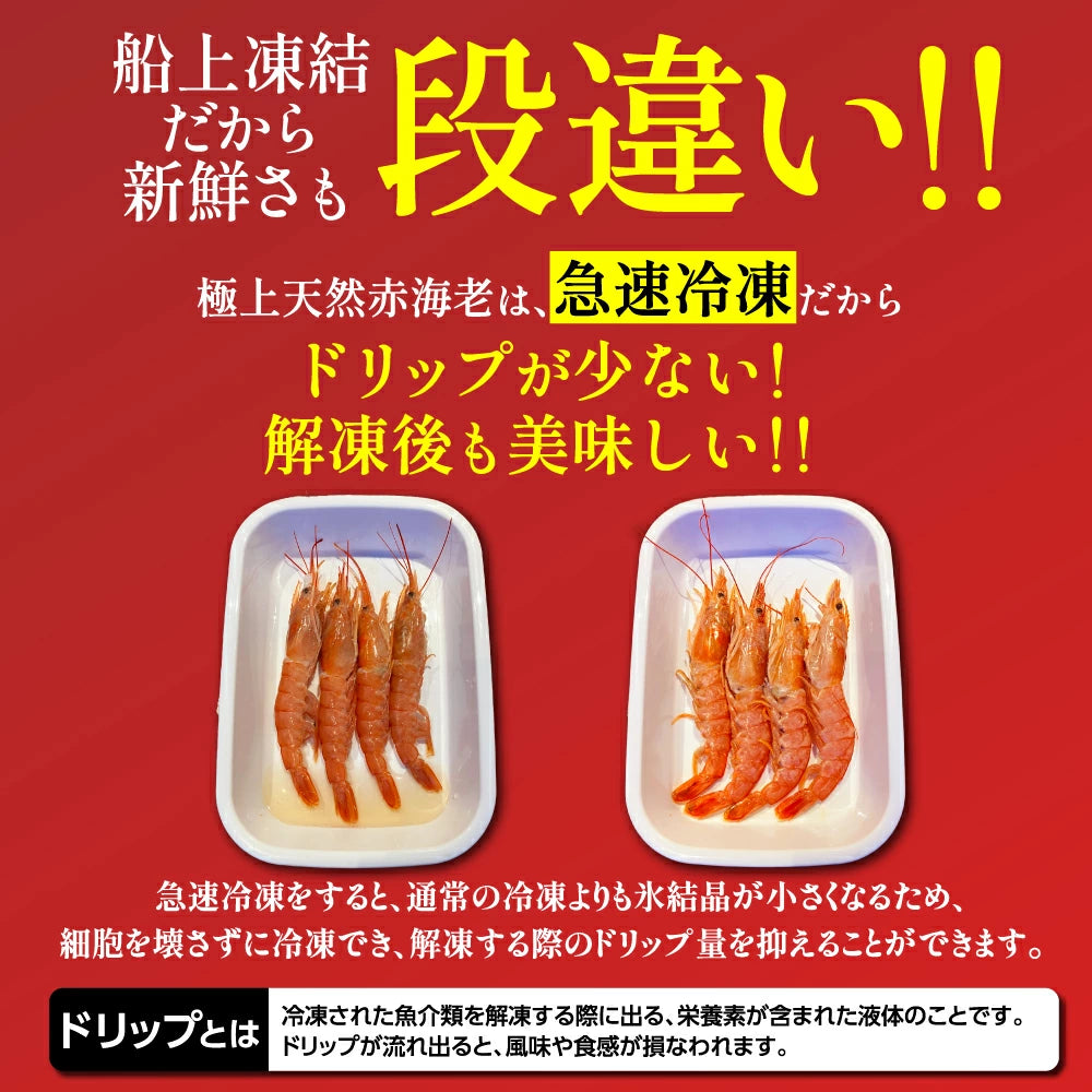 天然赤海老　L2