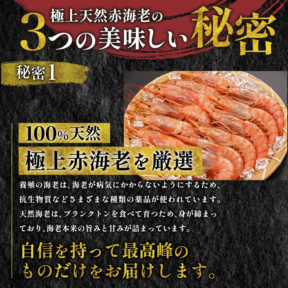 天然赤海老　L2