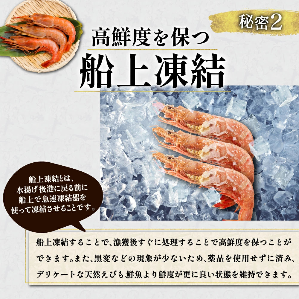 天然赤海老　L2