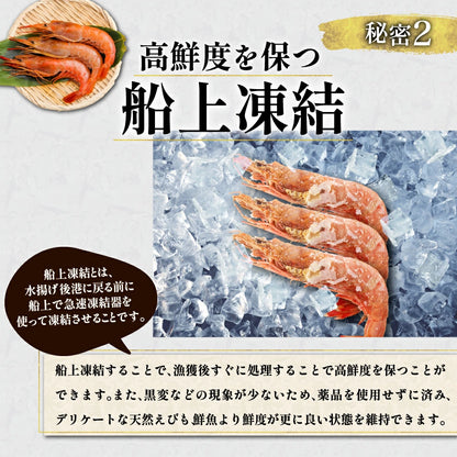 天然赤海老　L2