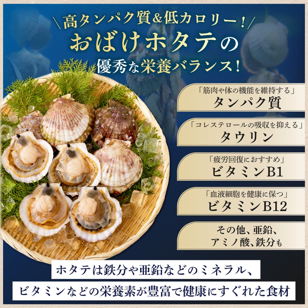 【北海道産】おばけホタテ片貝