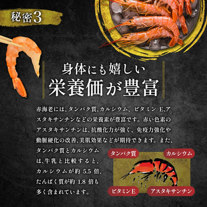 天然赤海老　L2