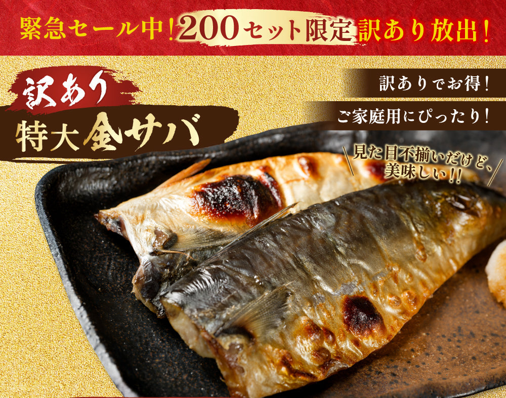 【訳あり品】特大金サバ