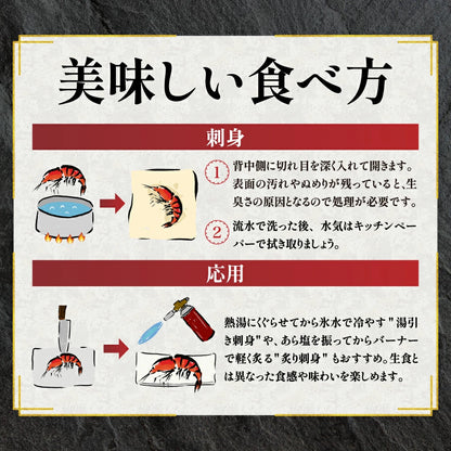 天然赤海老　L2