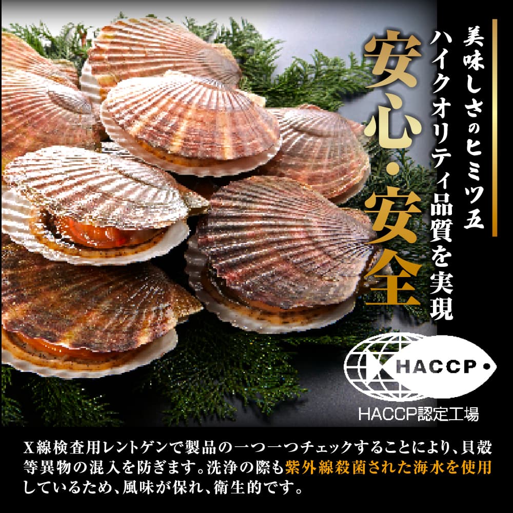 【北海道産】ホタテ貝柱