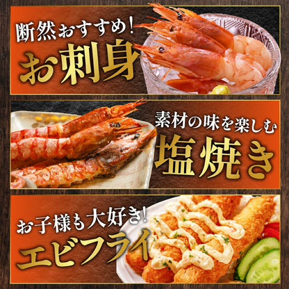 天然赤海老　L2