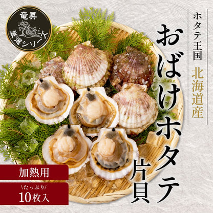 【北海道産】おばけホタテ片貝