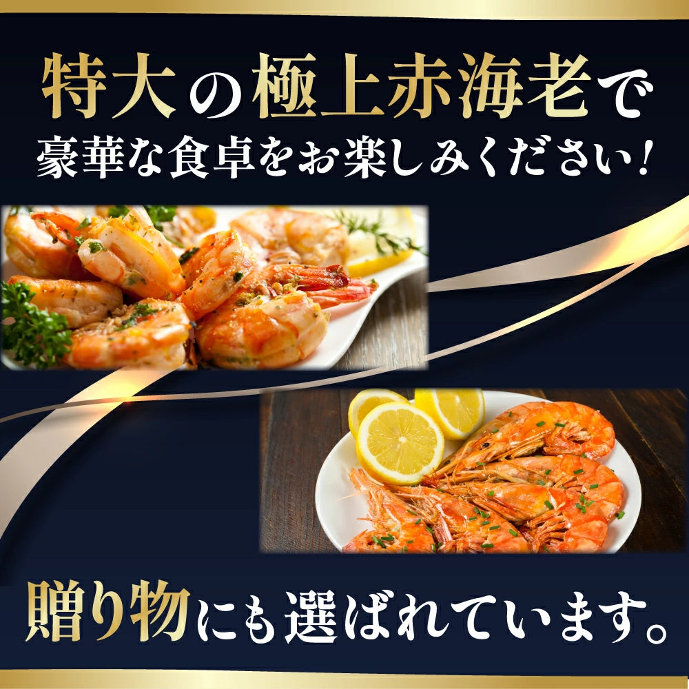 天然赤海老　L2