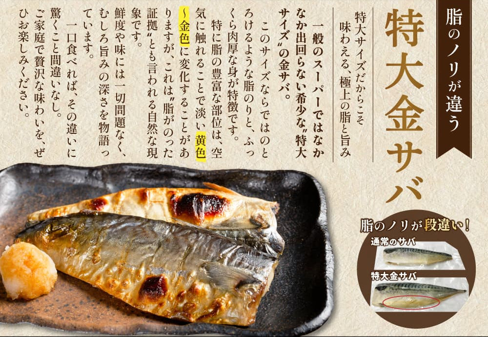 【訳あり品】特大金サバ