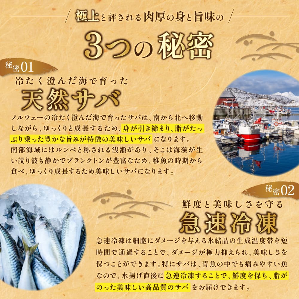 【訳あり品】特大金サバ