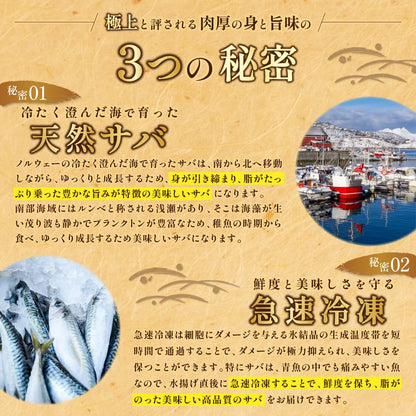 【訳あり品】特大金サバ