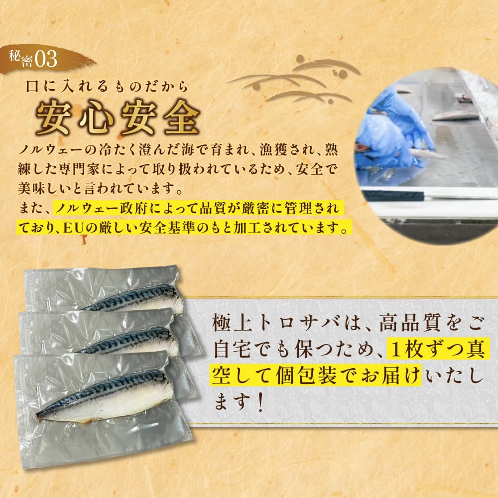 【訳あり品】特大金サバ