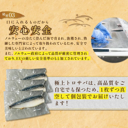 【訳あり品】特大金サバ