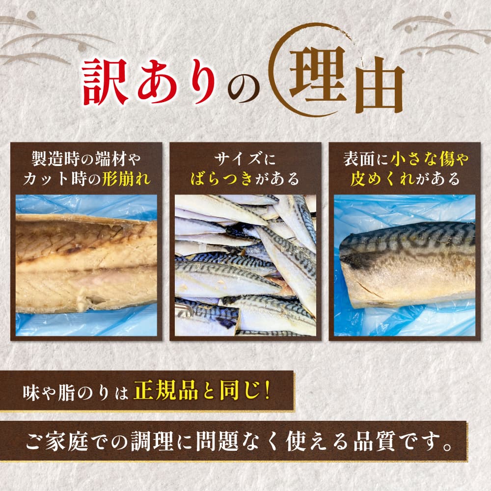 【訳あり品】特大金サバ