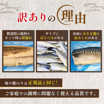 【訳あり品】特大金サバ