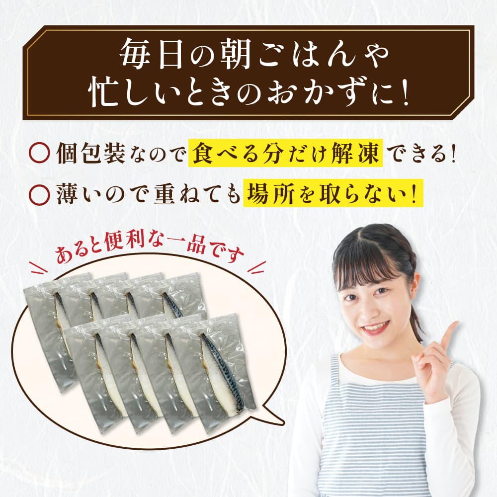 【訳あり品】特大金サバ