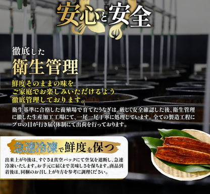 【鹿児島県産】おもてなしうなぎ蒲焼き